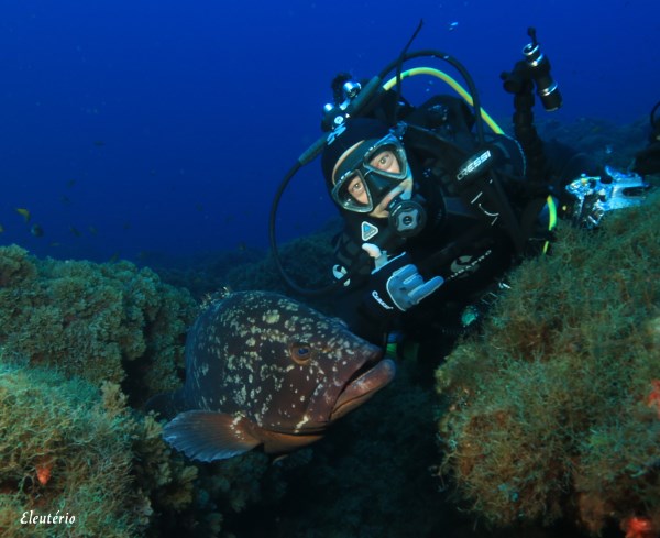 mergulho nas formigas açores